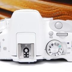 人気のホワイト！ Canon EOS kiss X7 スマホ転送 STMレンズの画像