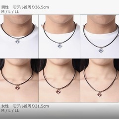 TAOネックレス スリム ARANmini CPGD レッドラメ LLの画像