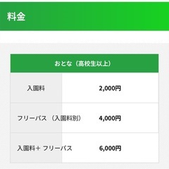 グリーンランド ペア チケット 未使用の画像