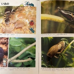 なぜなぜベスト図鑑　全20巻の画像