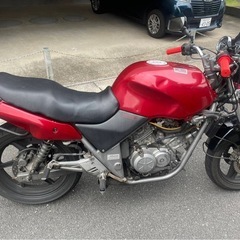 250CCゼルビスの画像