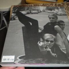 Edie: Girl on Fire   洋書の画像