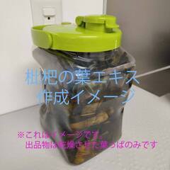 ビワの葉エキス作成用　枇杷の葉　150ｇ　乾燥済み（1.8リットルのホワイトリカーで作るのにちょうどの重量です）の画像