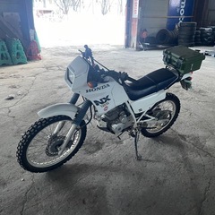 ホンダ　NX125 実働車の画像