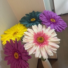 ジャンボガーベラの画像