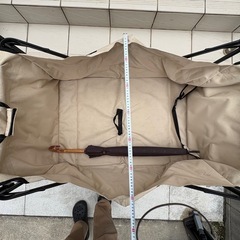 大容量　キャリーワゴンの画像