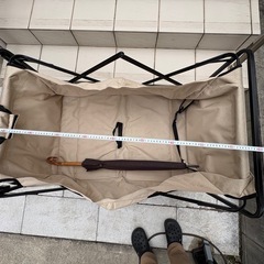 大容量　キャリーワゴンの画像