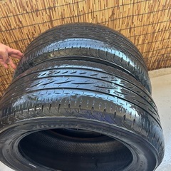 REGNO夏タイヤの画像