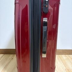 シェルポッド　キャリーケースの画像