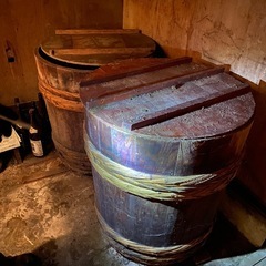 【立派✨】の画像