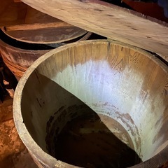 【立派✨】の画像