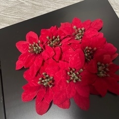 クリスマス　飾り　ポインセチア　IKEA MALMAの画像