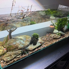 60x20x25水槽セットの画像