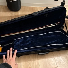 電子ヴァイオリンの画像