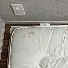 布団一式(敷布団、シーツ、掛け布団、枕)ニトリの画像