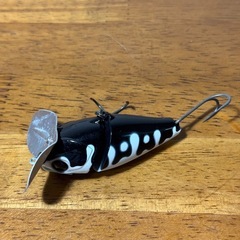 HIGE DANCER ヒゲダンサーの画像