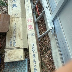 ハシゴ他の画像