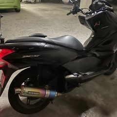 pcx jf28
の画像