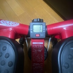 NICEDAY ナイスデイ　健康ステッパー　レッド ND-1Rの画像