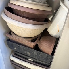 大きい植木鉢は１つ300円あとは無料です！の画像