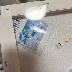 絵の具で塗るペイントアート  蝶々の画像