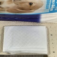 【お買い得!!】ペットシーツ 約100枚 レギュラー 猫＆小型犬用の画像