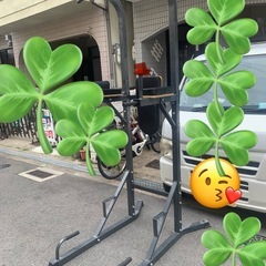 BODYMAKER TM065 フィットネスマシン チン&ディッピングスタンドの画像