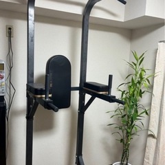 BODYMAKER TM065 フィットネスマシン チン&ディッピングスタンドの画像