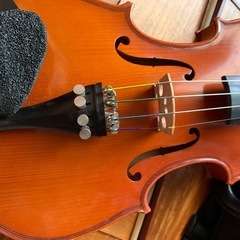 分数バイオリン 1/2 2006年製　Classical Strings USAの画像