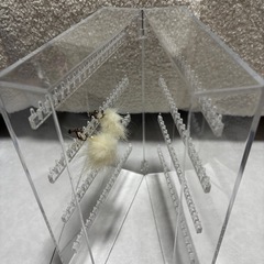 無印アクリルアクセサリーケースの画像