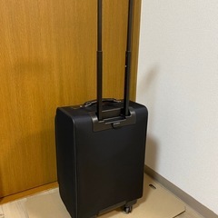 ACE キャリーバッグの画像