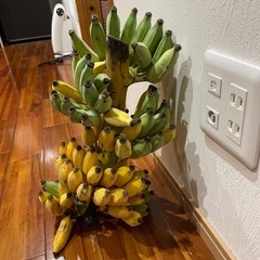 島バナナの画像