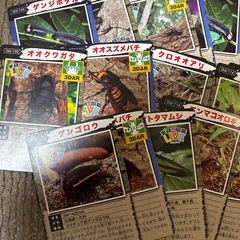 昆虫カード（お菓子の付録）の画像