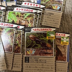 昆虫カード（お菓子の付録）の画像