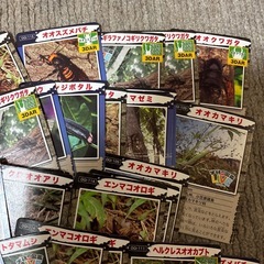 昆虫カード（お菓子の付録）の画像