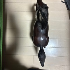 躍動感溢れる金属製　馬の像　置き物　馬ファン　馬好きの方への画像