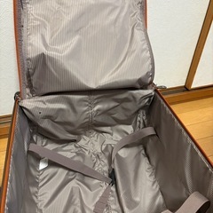 pujols 機内持ち込み　キャリーケース　スーツケースの画像