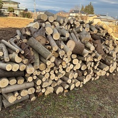 ビバ及び桐の木の玉切り 軽トラ350Kg 福島市引き取り限定の画像