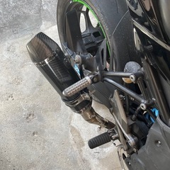 ninja250sl 中型バイク　Kawasakiの画像