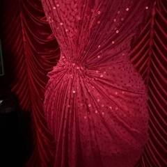 タダシショージ　ドレスの画像