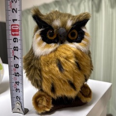 フクロウ　置物の画像