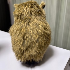 フクロウ　置物の画像
