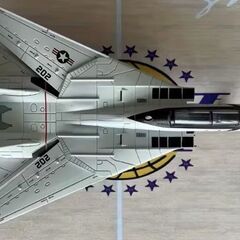 スタンド付き　1/72 スケール　TOP GUN F-14 TOMCAT レトロの画像