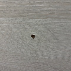 ダブルベッドフレーム ホワイトウォッシュの画像