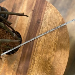 プランツテーブル付きフェイクグリーン（取引中）の画像