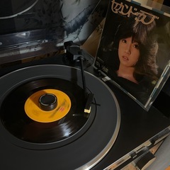 Pioneer private A5 フルオプション　カタログ付の画像