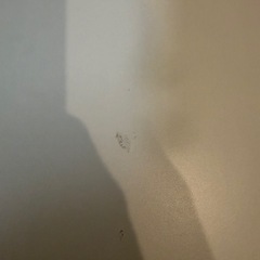 【美品】ニトリこたつの画像