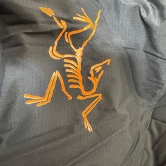 ARC'TERYX Atom AR Hoody beams ビームスの画像