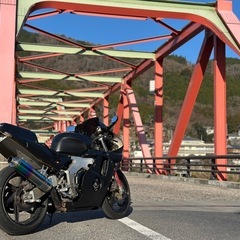 HONDA cbr250rr mc22の画像