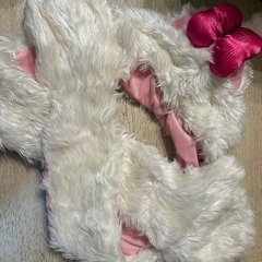 ディズニー帽子の画像